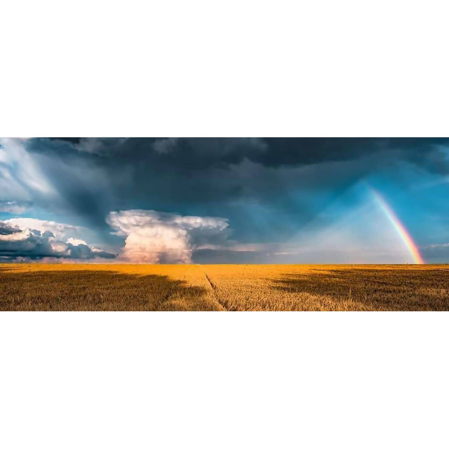 Ravensburger - Mysterious Rainbow Nature Edition Panorama Jigsaw Puzzle 1000 Pieces