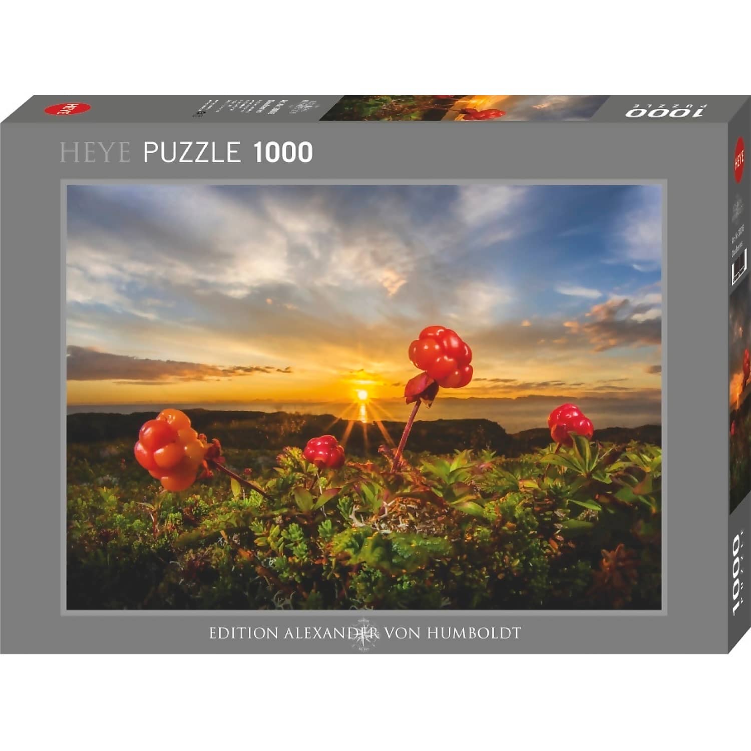 Heye - Von Humboldt Cloudberries By Jigsaw Puzzle 1000 Pieces