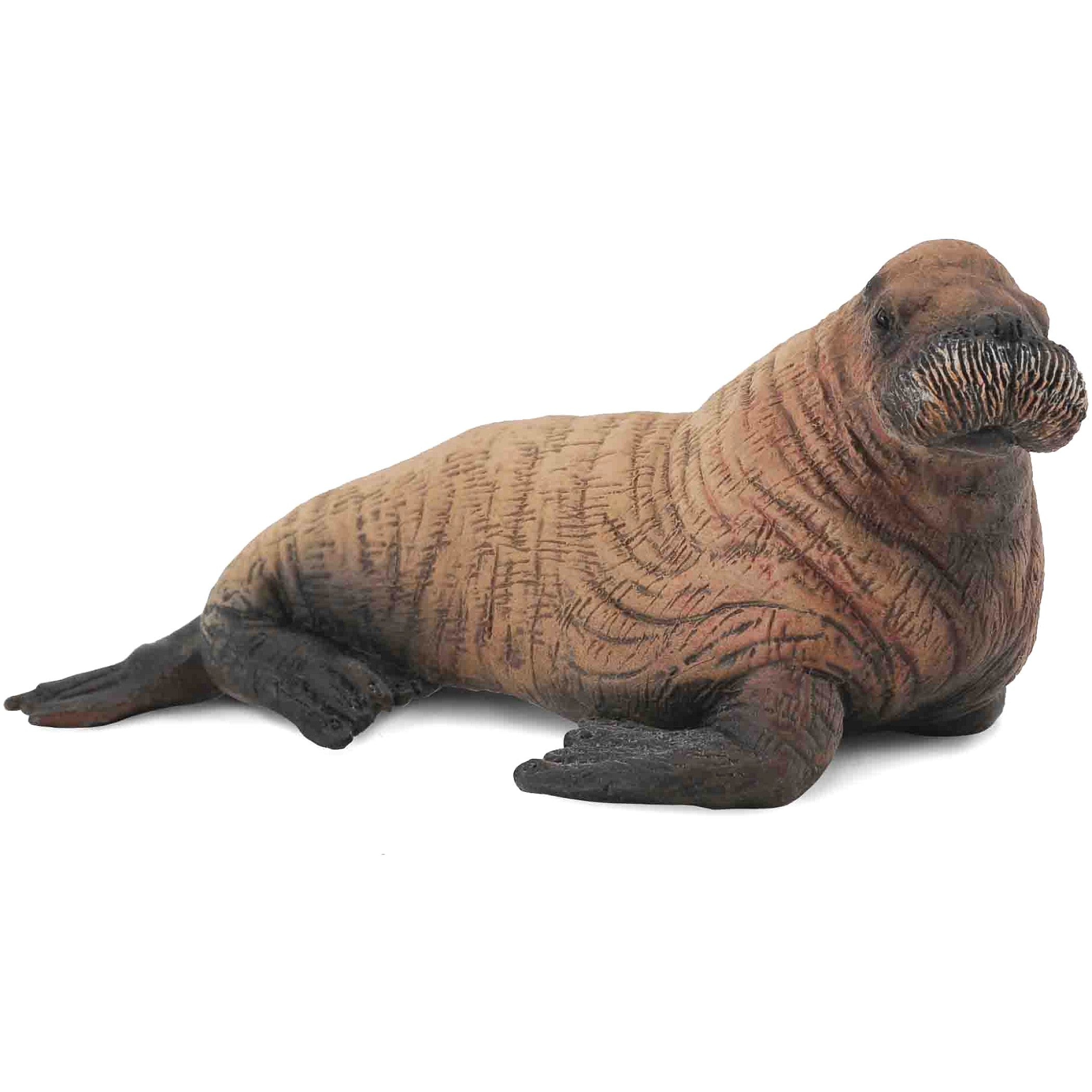CollectA - Walrus Calf Animal Figurine