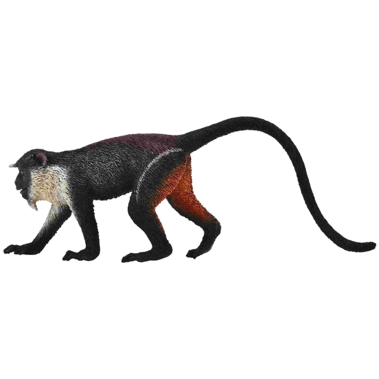 CollectA - Diana Monkey Animal Figurine