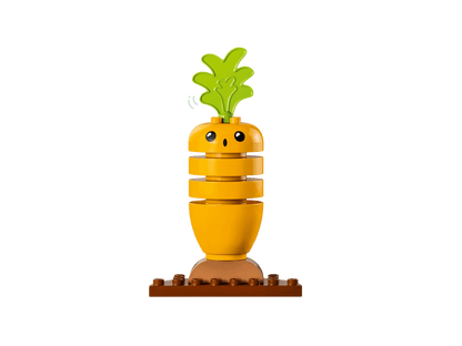 LEGO 10984 Organic Garden - Duplo