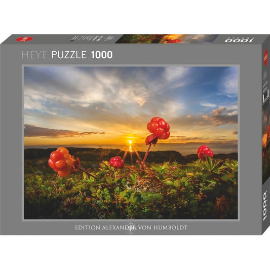 Heye - Von Humboldt Cloudberries By Jigsaw Puzzle 1000 Pieces