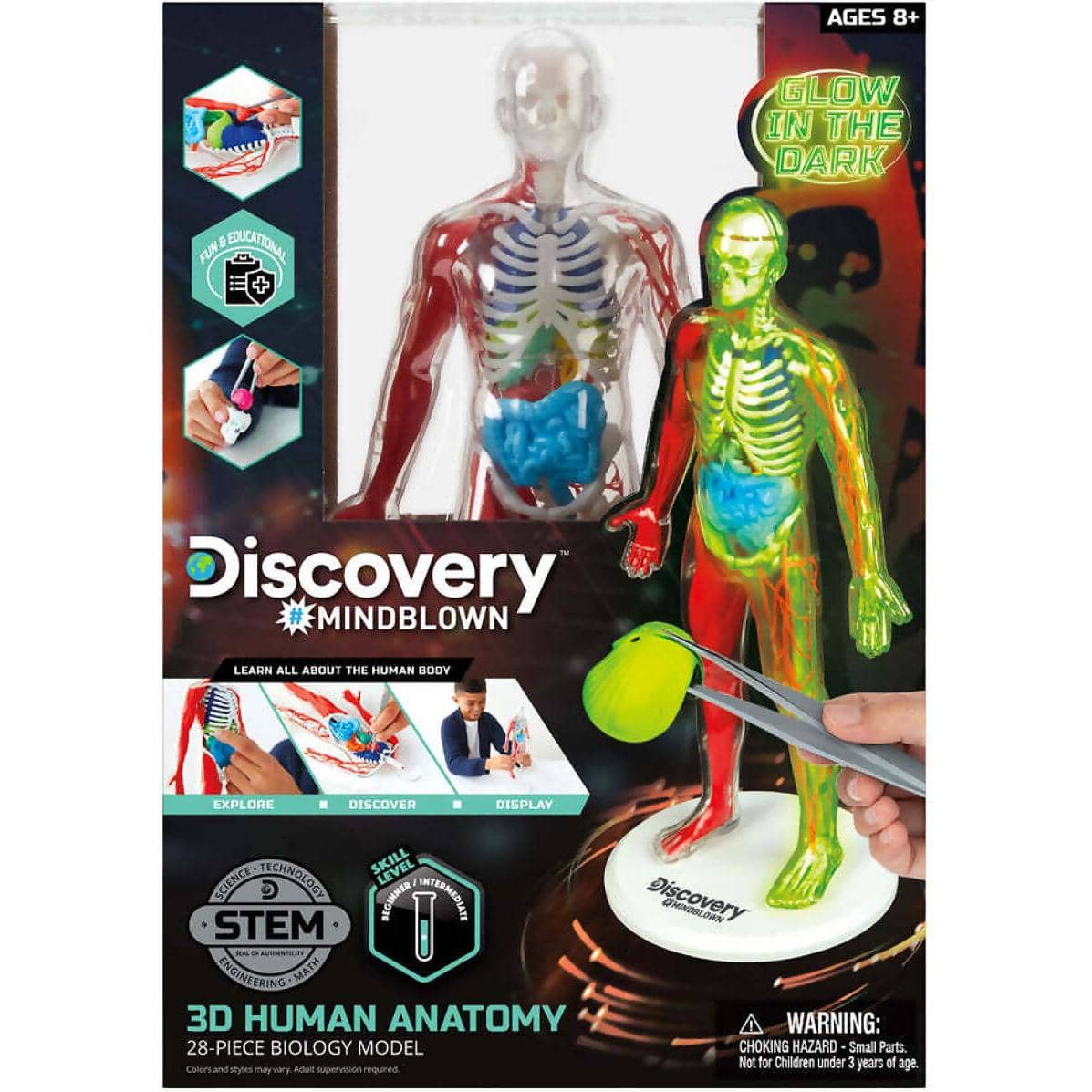Discovery -  Mindblown 3d Human Anatomy 28-piece Biology Model