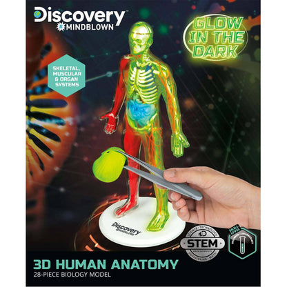 Discovery -  Mindblown 3d Human Anatomy 28-piece Biology Model