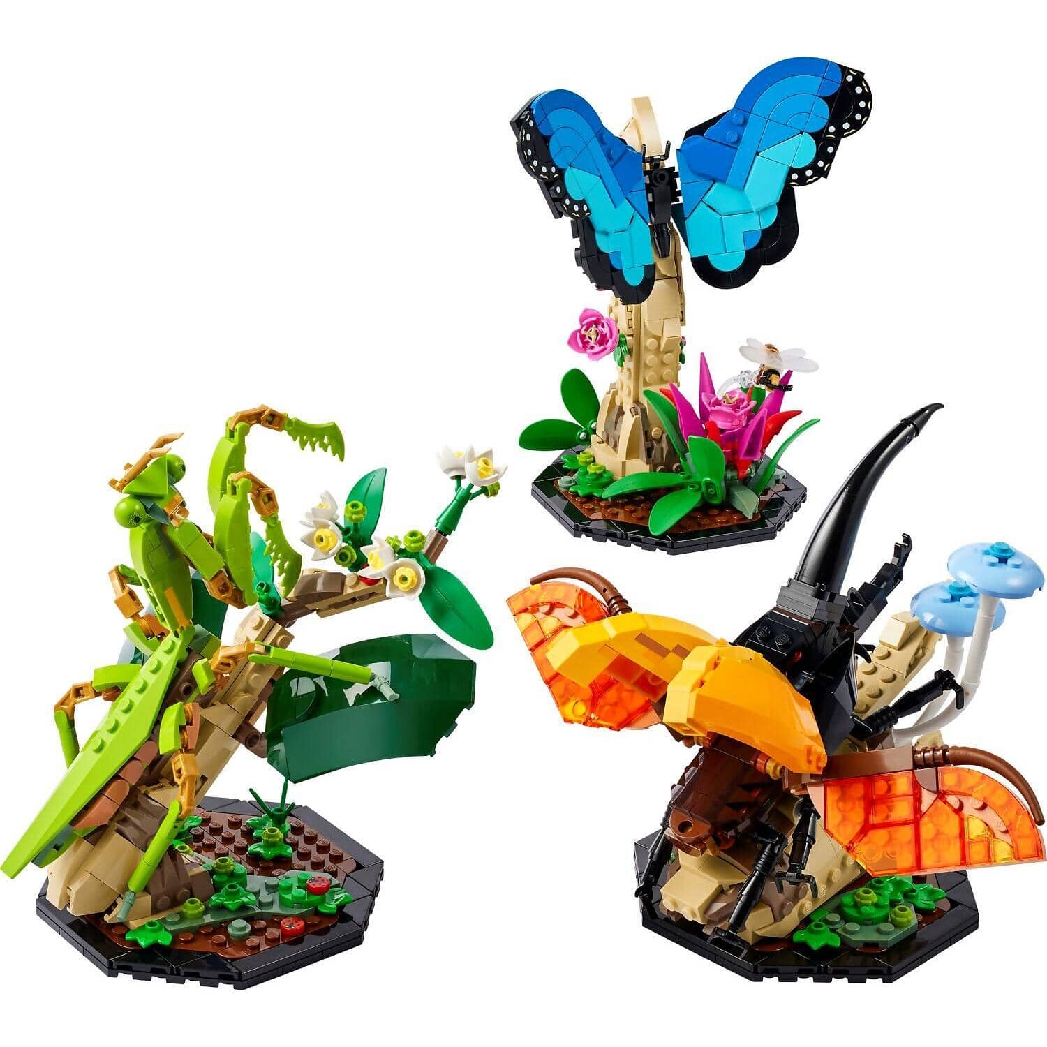 LEGO 21342 The Insect Collection - Ideas