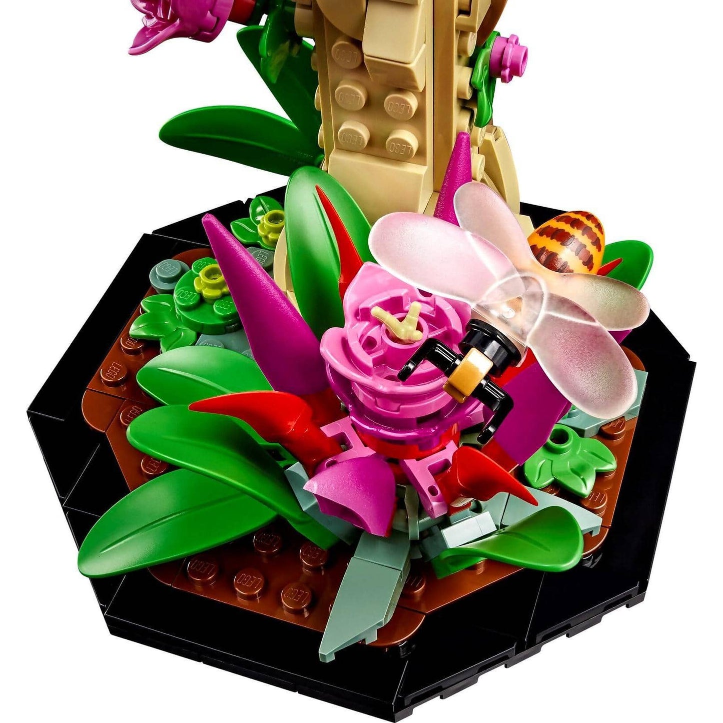 LEGO 21342 The Insect Collection - Ideas