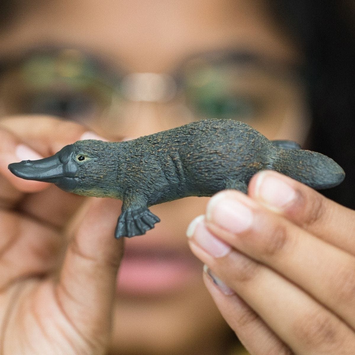 Schleich - Platypus   Wildlife Animal Figurine