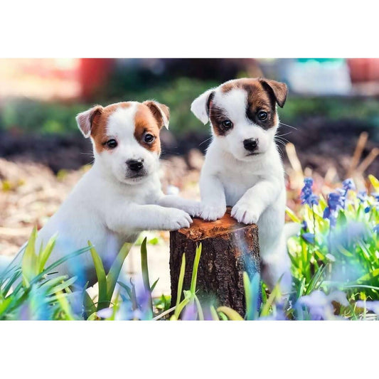 Ravensburger - Cute Little Furballs Jigsaw Puzzle 2 X 12pc