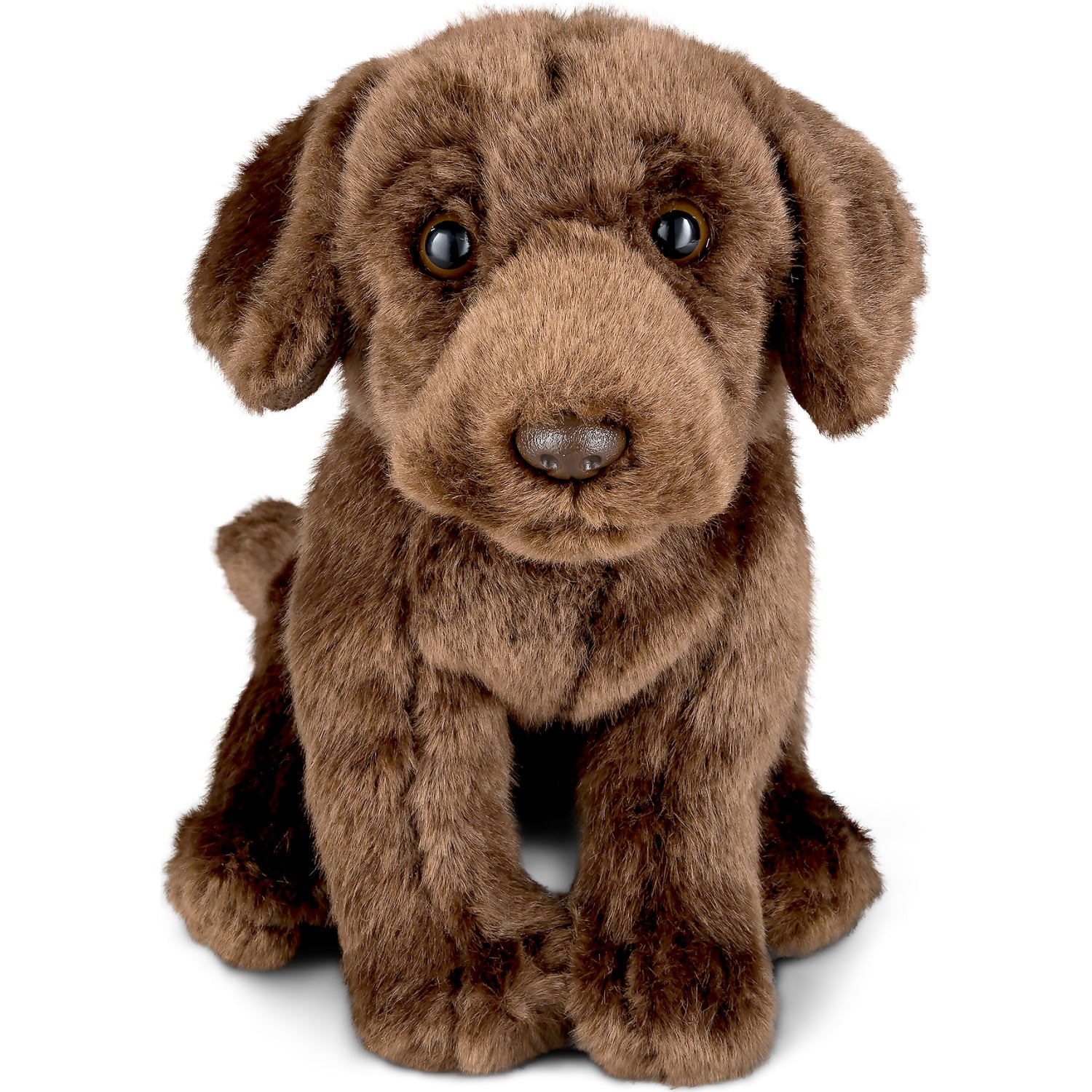 Living Nature - Chocolate Labrador 22cm Plush – Toys and Hobbys Australia