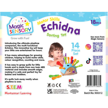 Magic Sensory - Motor Skills Echidna