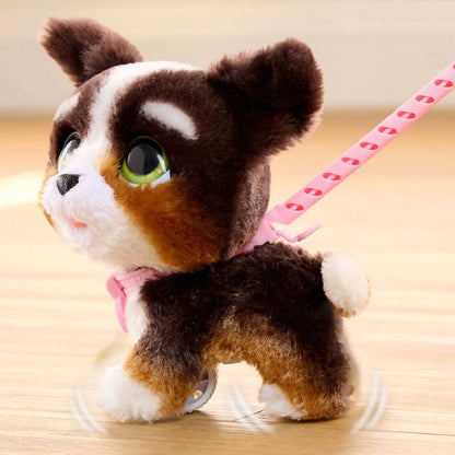 Furreal - Walk-a-lots Bernedoodle Bernese Mountain Dog