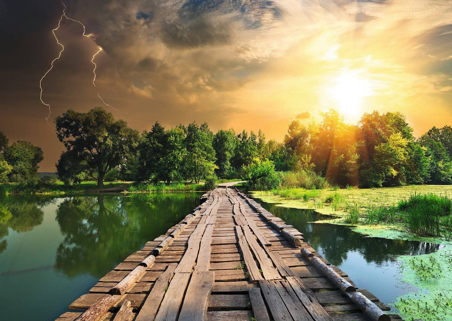 Ravensburger - Mystic Skies Nature Jigsaw Puzzle 1000pc