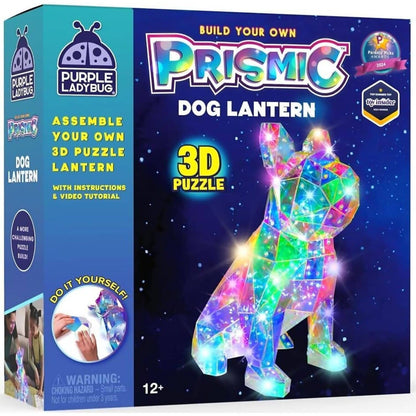 Purple Ladybug - Prismic Dog Lantern 3D Shape Puzzle Kit
