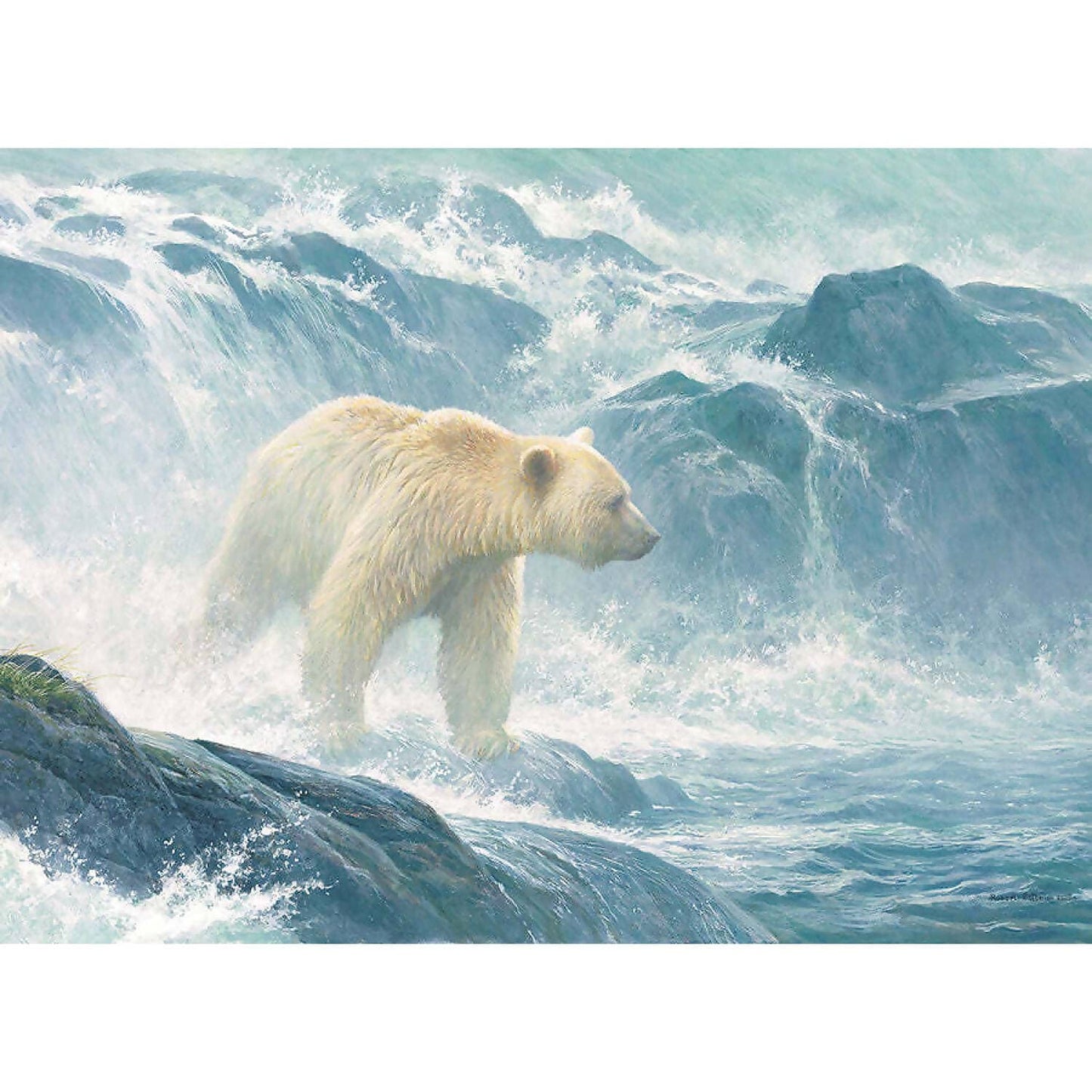 Cobble Hill - Salmon Watch - Jigsaw Puzzle 500pc