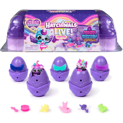 Hatchimals -  Alive! - Neon Rainbow Carton