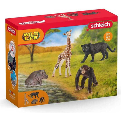 Schleich - WILD LIFE  Safari 4 Piece Animal Starter Set