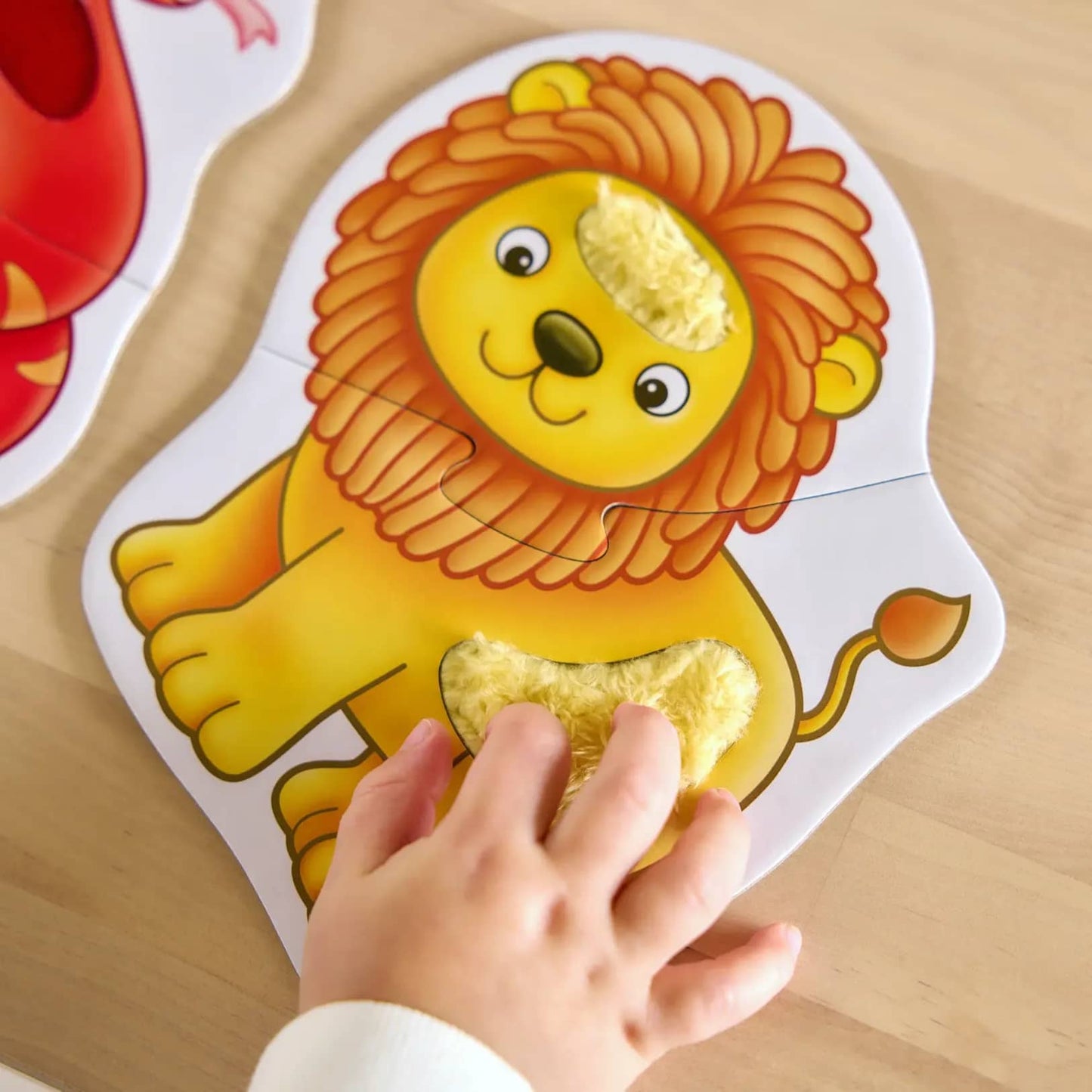 Orchard Toys - Match and Feel 2 Piece Puzzles