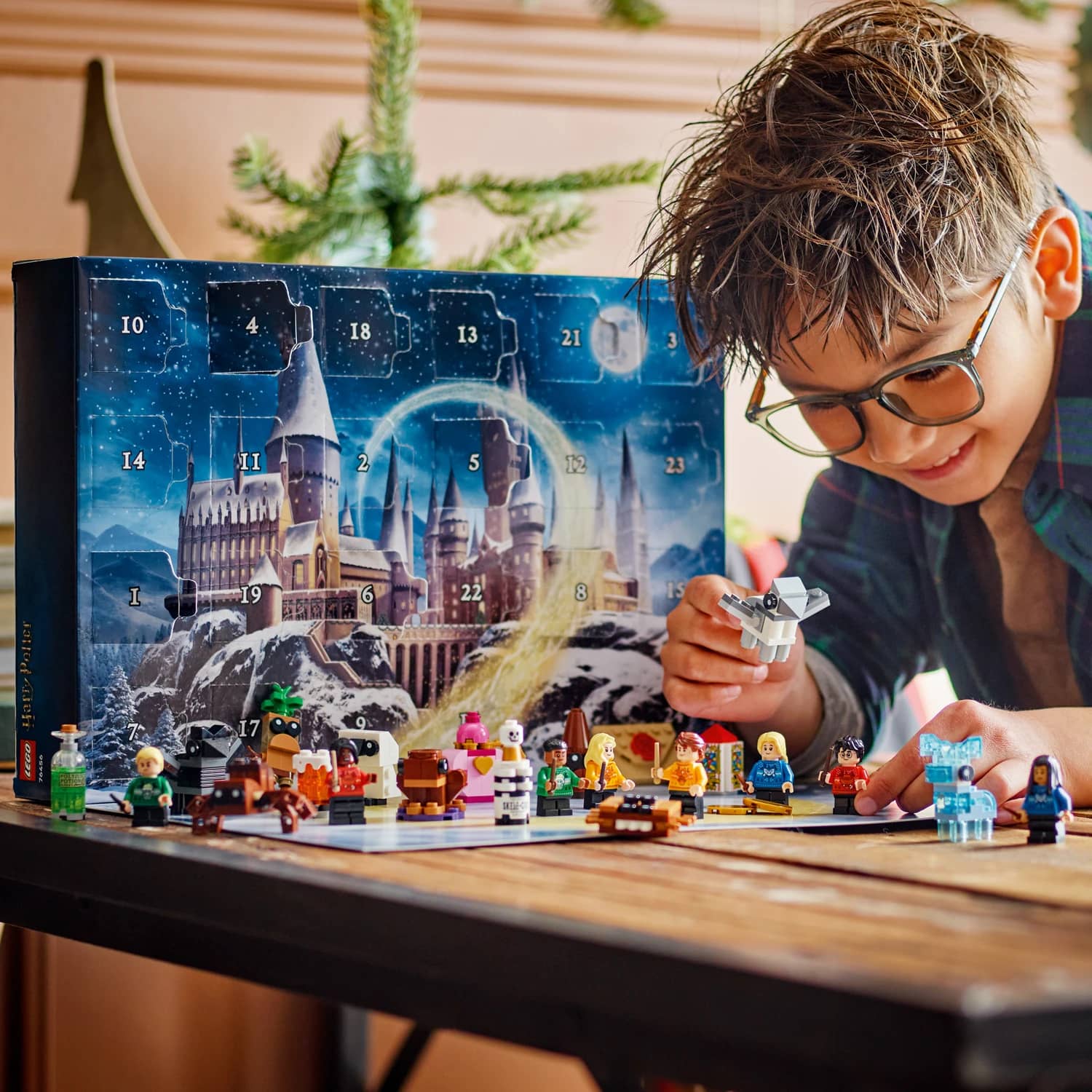 LEGO 76456 Harry Potter Advent Calendar 2025 - Harry Potter