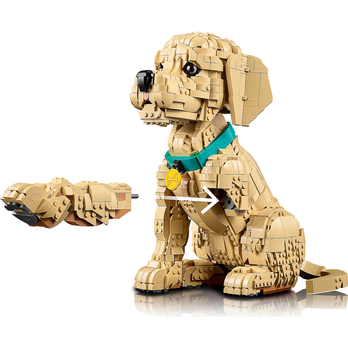 LEGO 11384 Golden Retriever Puppy - Icons