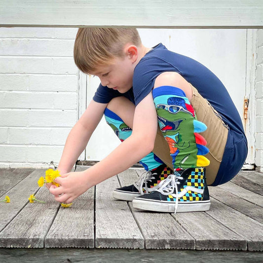 Madmia - Dinosaur Socks Kids & Adults Age 6y+