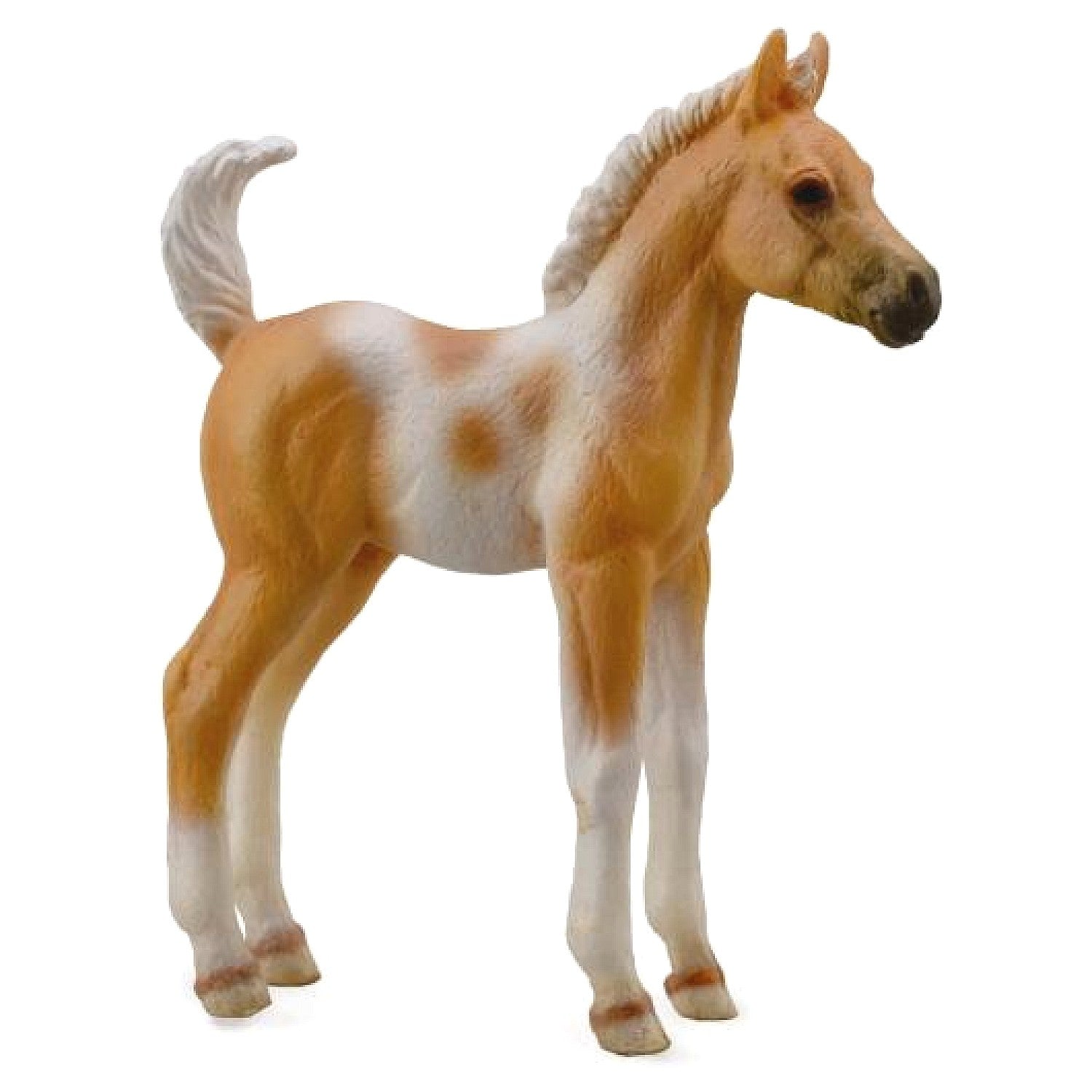 CollectA - Pinto Foal Standing Palomino Animal Figurine