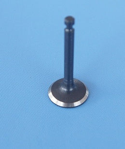 NGH -  PART INTAKE VALVE GF30/GF38/60 2 NHF38311