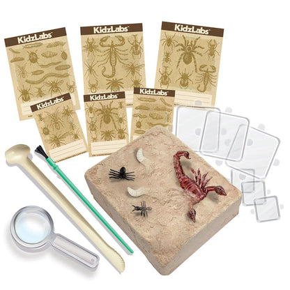 4m - Kidzlabs - Creepy Crawly Digging Kit