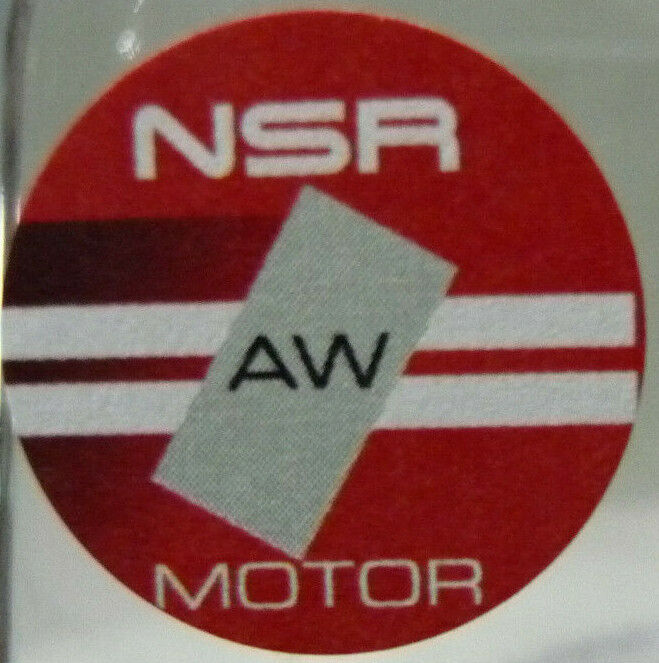 NSR -  1:32 0078AW ASV GT3 Le Mans 24H 2016 No.99 slot car also suits  scalextric/carrera