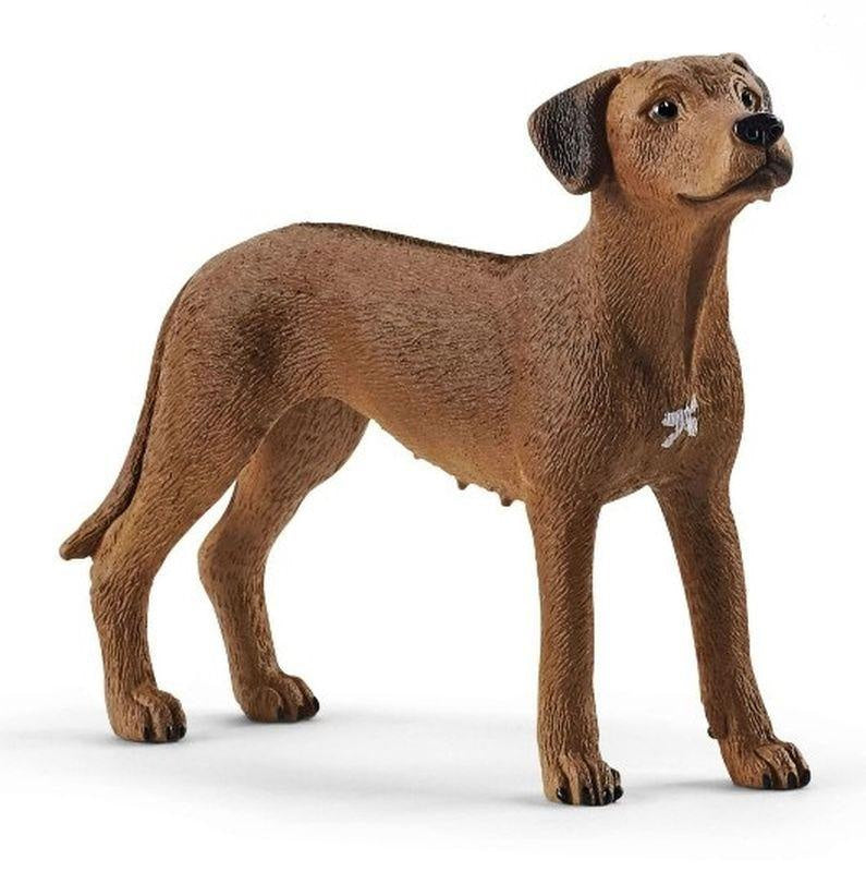 Schleich - Rhodesian Ridgeback Dog Figurine – Toys and Hobbys Australia