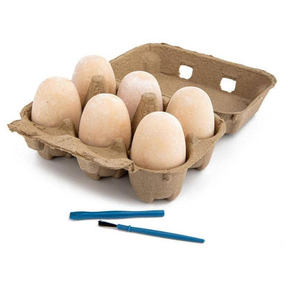 Discovery -  Dino Egg Crate 6pk