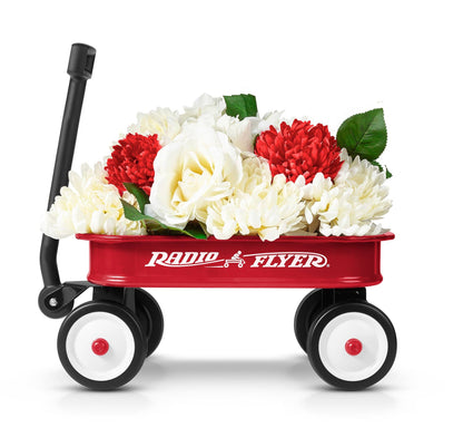 Radio Flyer - Little Classic Toy Wagon Miniature Size W5