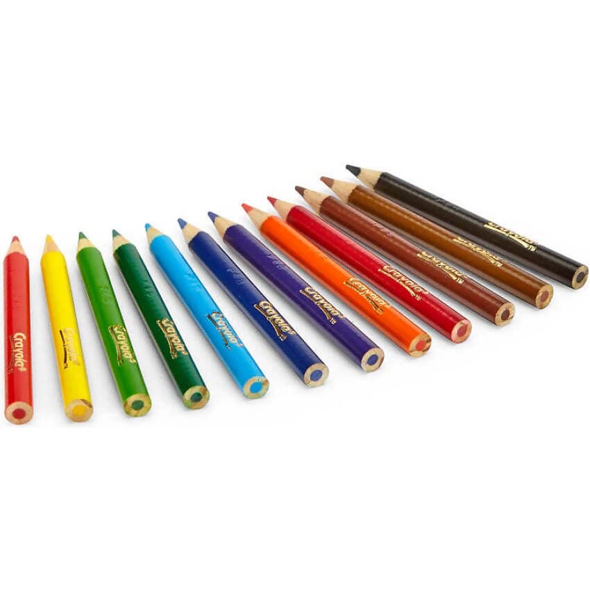 Crayola - Half Size Coloured Pencils 12 Pack - Image 3