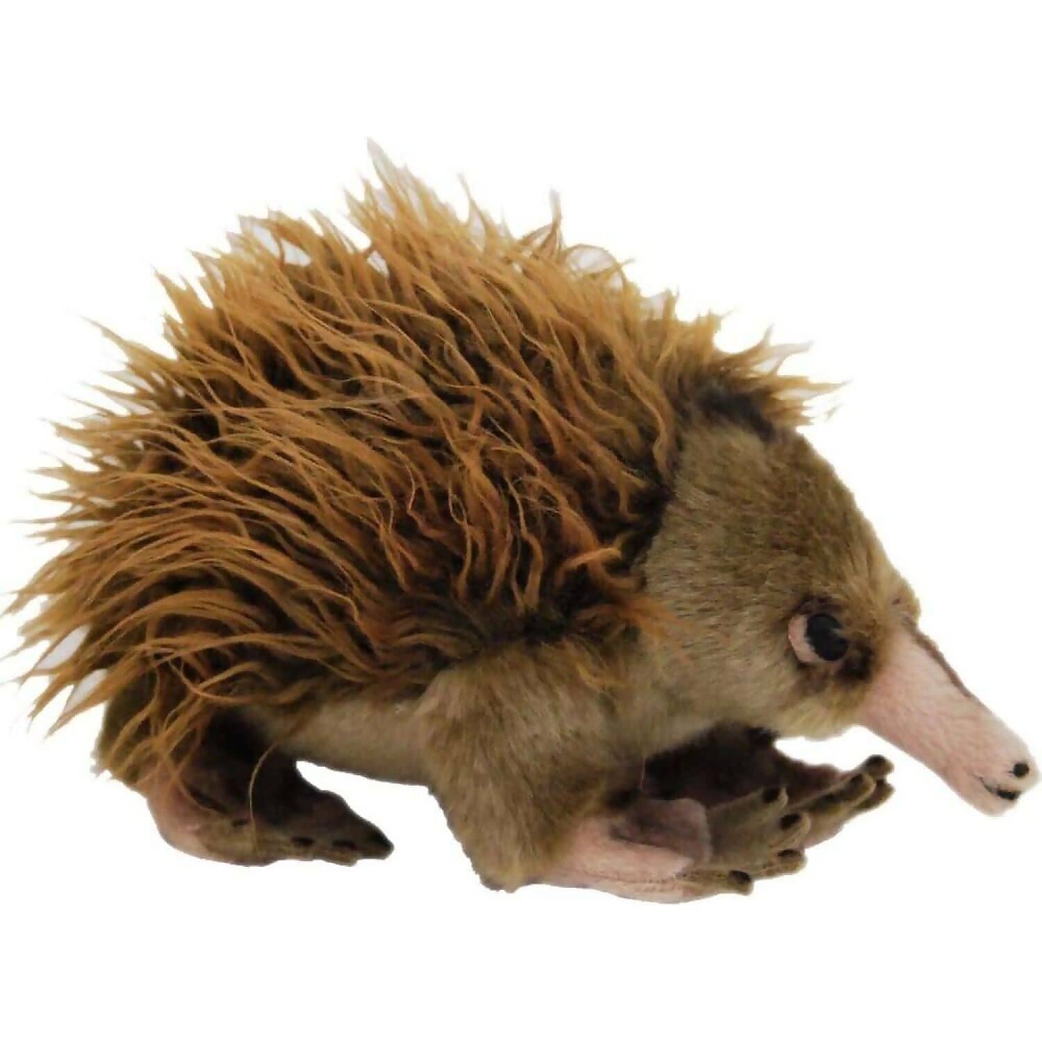 Elka - Echidna Ganyi 22cm Plush