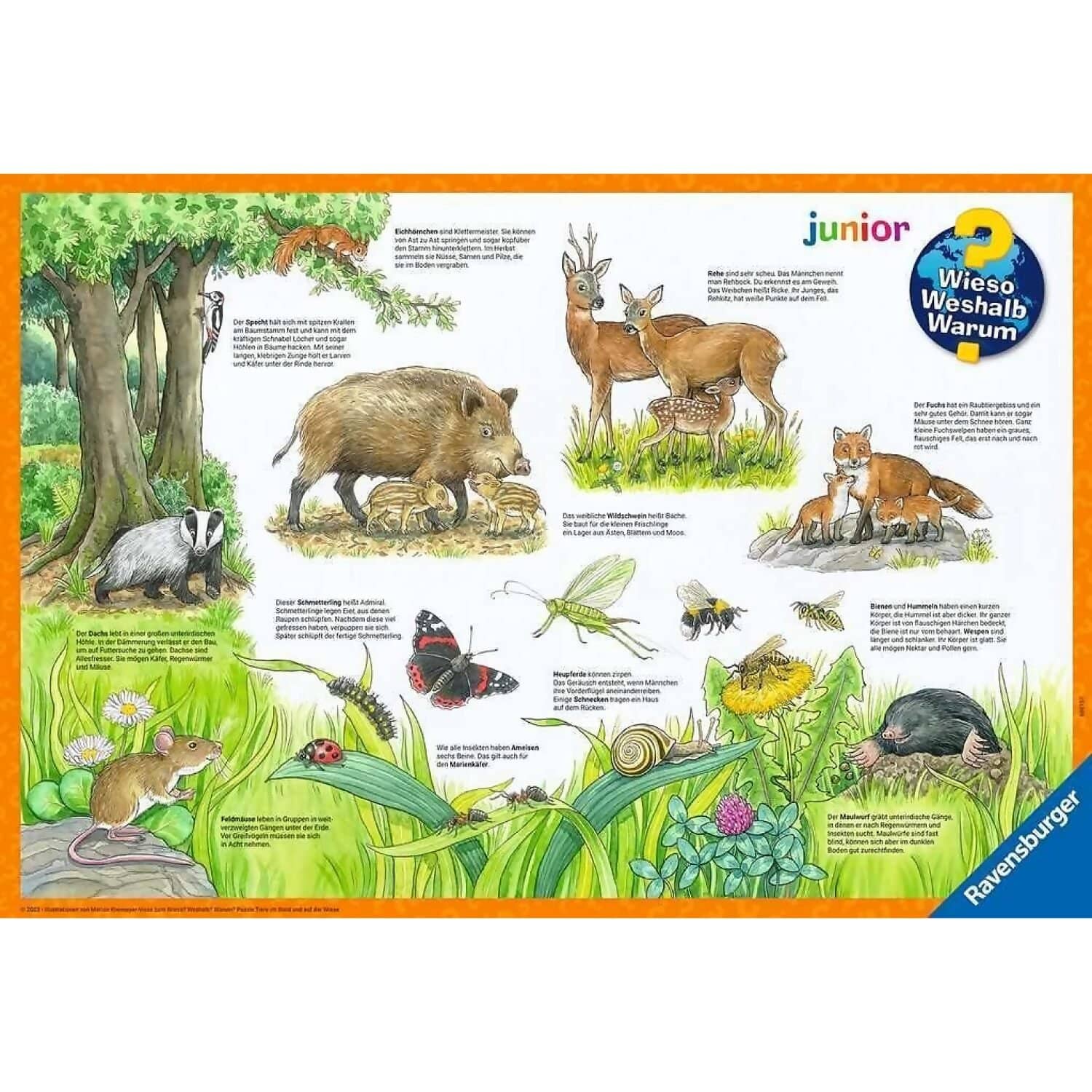 Ravensburger - Animals In The Forest And On The Meadow Jigsaw Puzzle 2 X 12pc - Image 4
