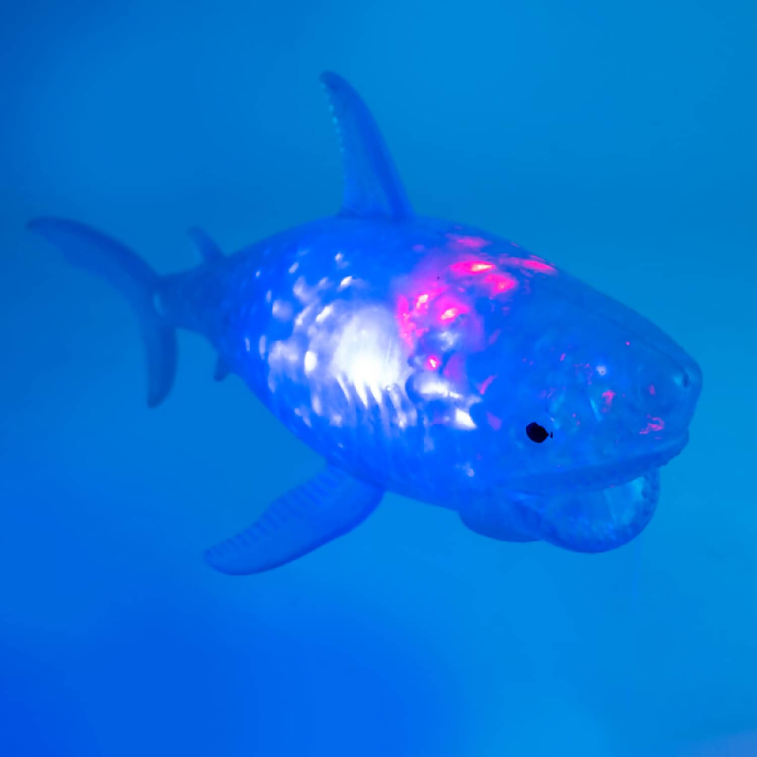 MDI - Squishy Bubble Shark Light Up - Image 5