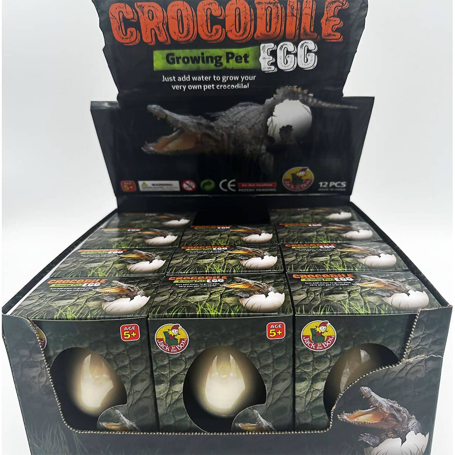 Jack In The Box - Growing Pet Crocodile Egg X 1 Only - Image 2