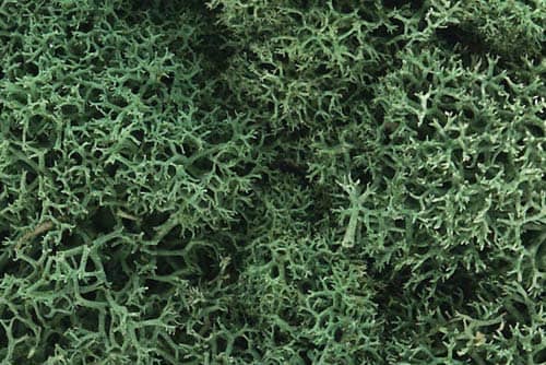 WOODLAND SCENICS L162 LICHEN LIGHT GREEN