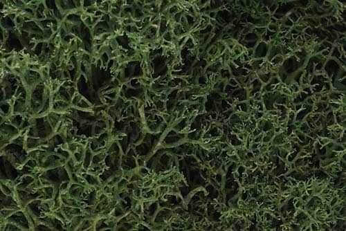 WOODLAND SCENICS L163 LICHEN MEDIUM GREEN