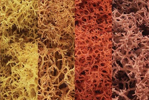 WOODLAND SCENICS  L165 LICHEN AUTUMN MIX