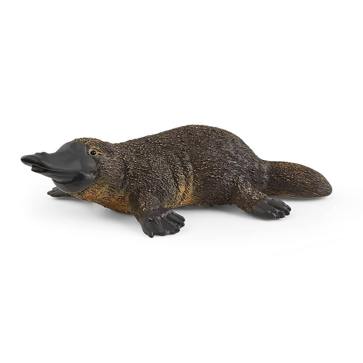 Schleich - Platypus Wildlife Animal Figurine