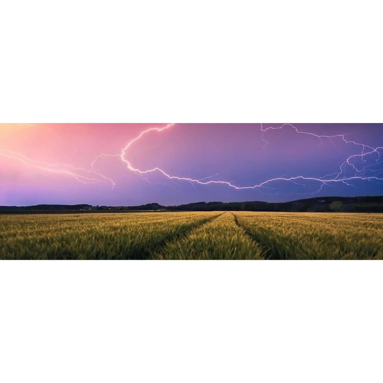 Ravensburger - Summer Thunderstorm Nature Edition Panorama Jigsaw Puzzle 500 Pieces - Image 2