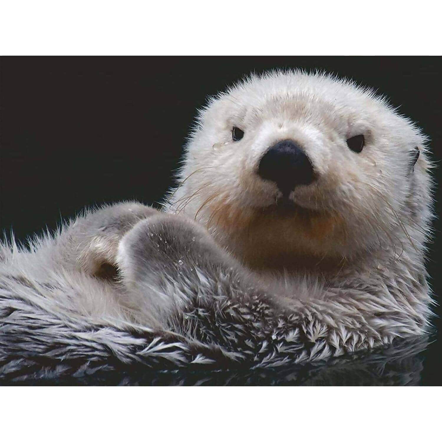 Ravensburger - Cute Little Otter Jigsaw Puzzle 500 Pieces - Image 2