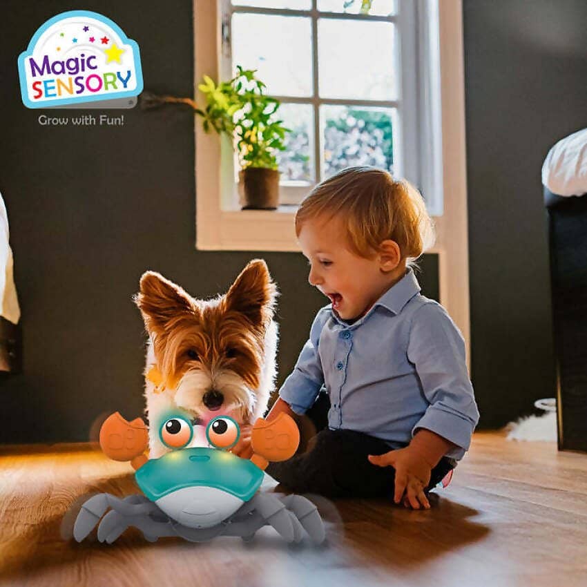 Magic Sensory - Blue Interactive Crawling Crab - Image 6