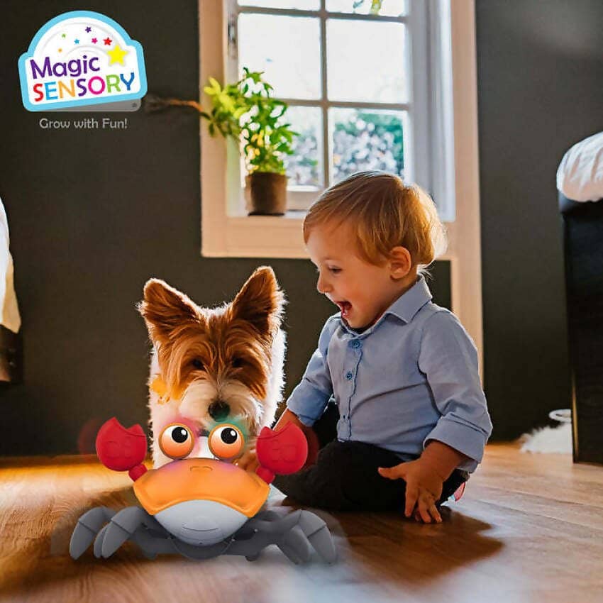 Magic Sensory - Orange Interactive Crawling Crab - Image 7