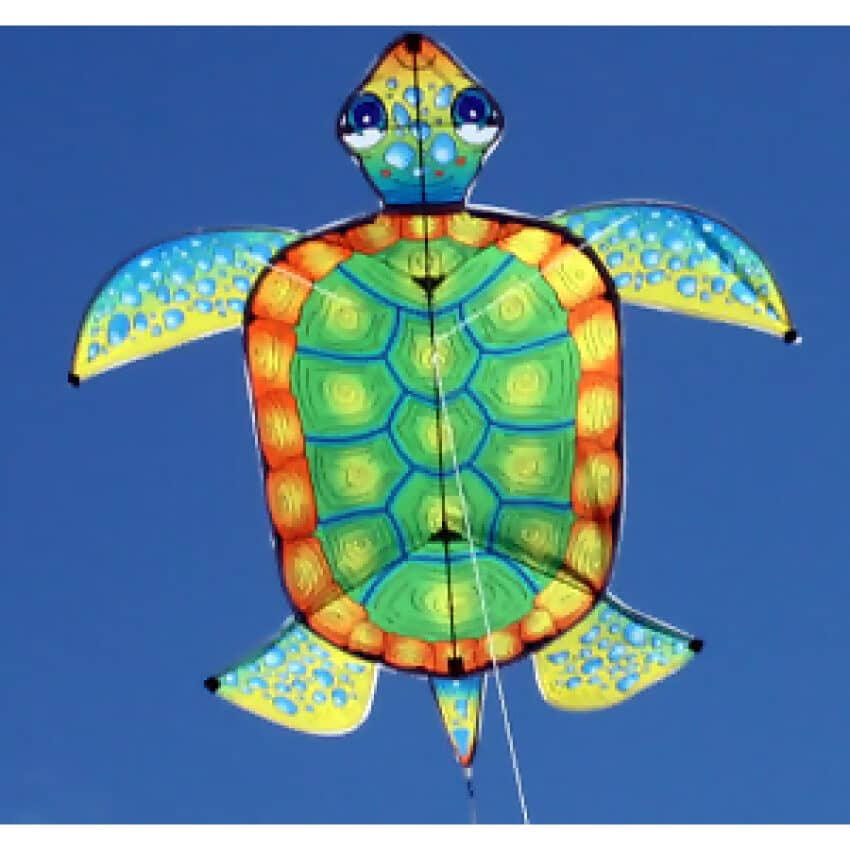 Windspeed - Turtle Single String Kites For Kids