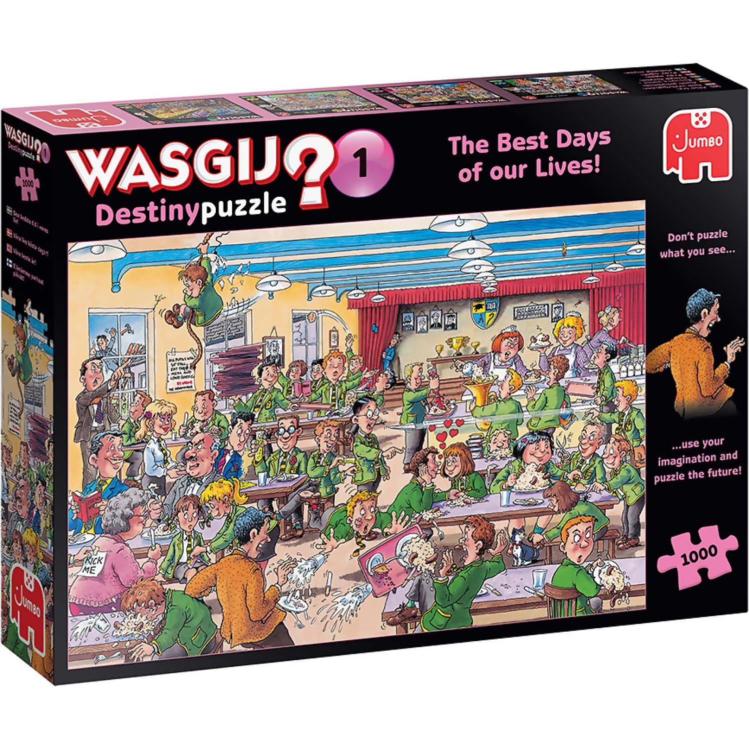 Wasgij? - Destiny No.1 Best Days Of Our Lives! - Jigsaw Puzzle 1000pc