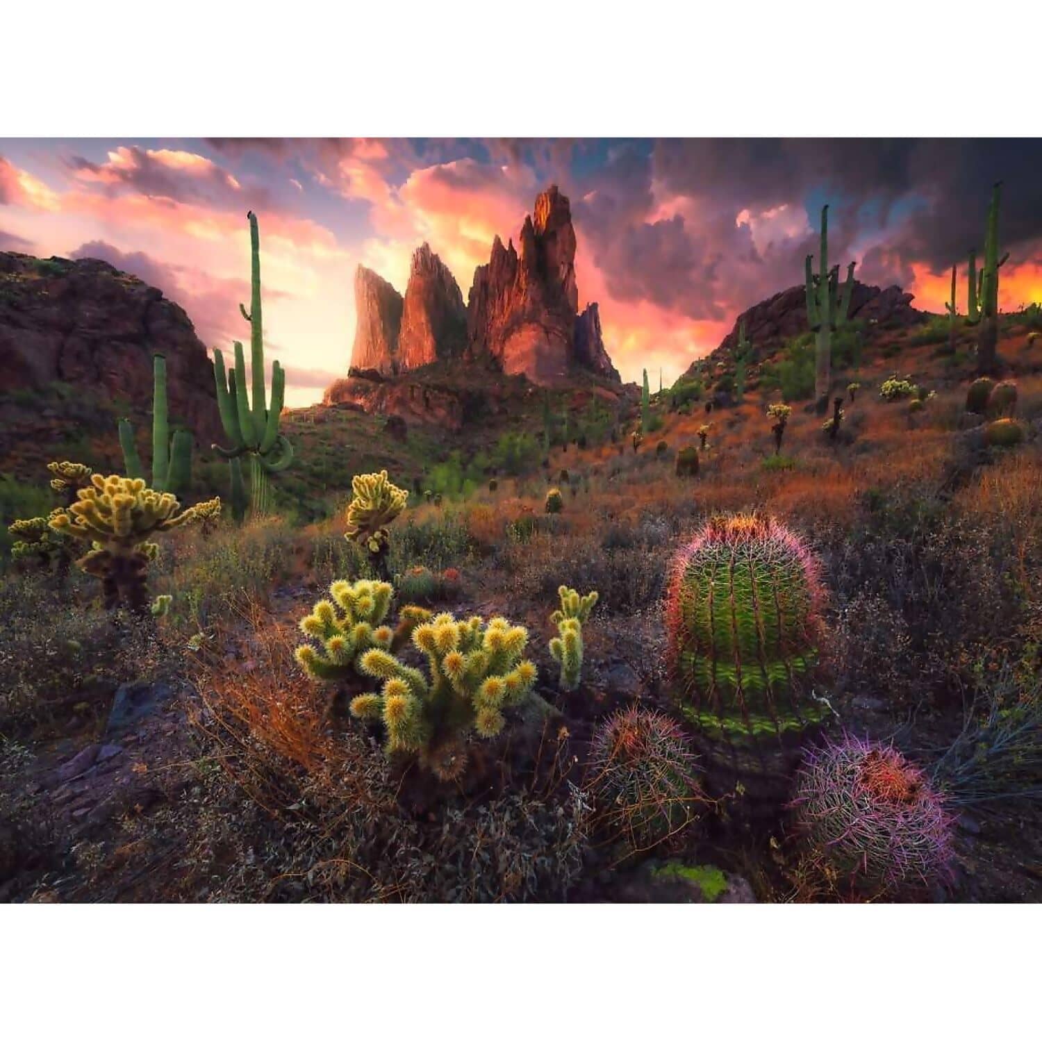 Ravensburger - Cactus Jigsaw Puzzle 500pc - Image 2