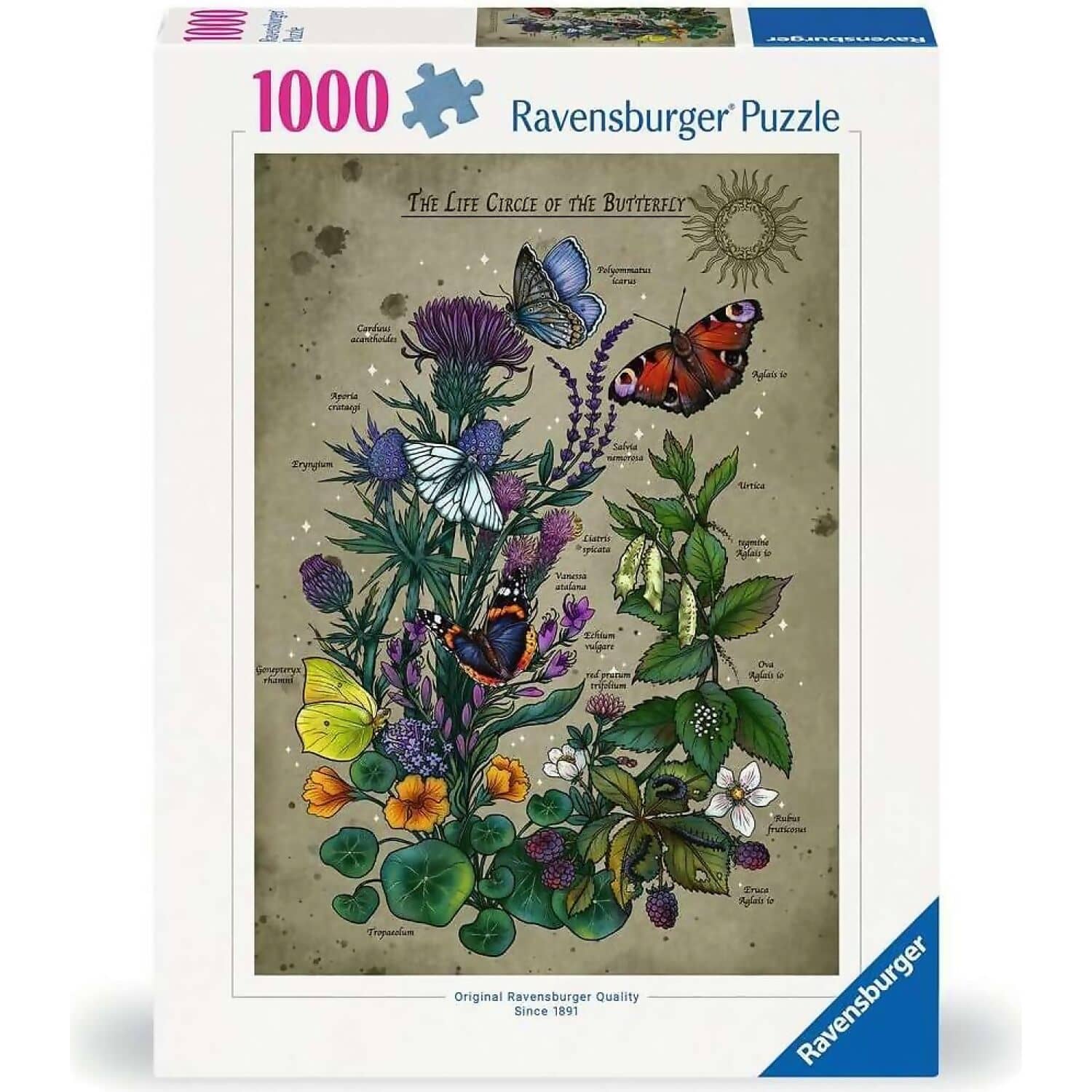 Ravensburger - The Life Circle Of The Butterfly Jigsaw Puzzle 1000pc
