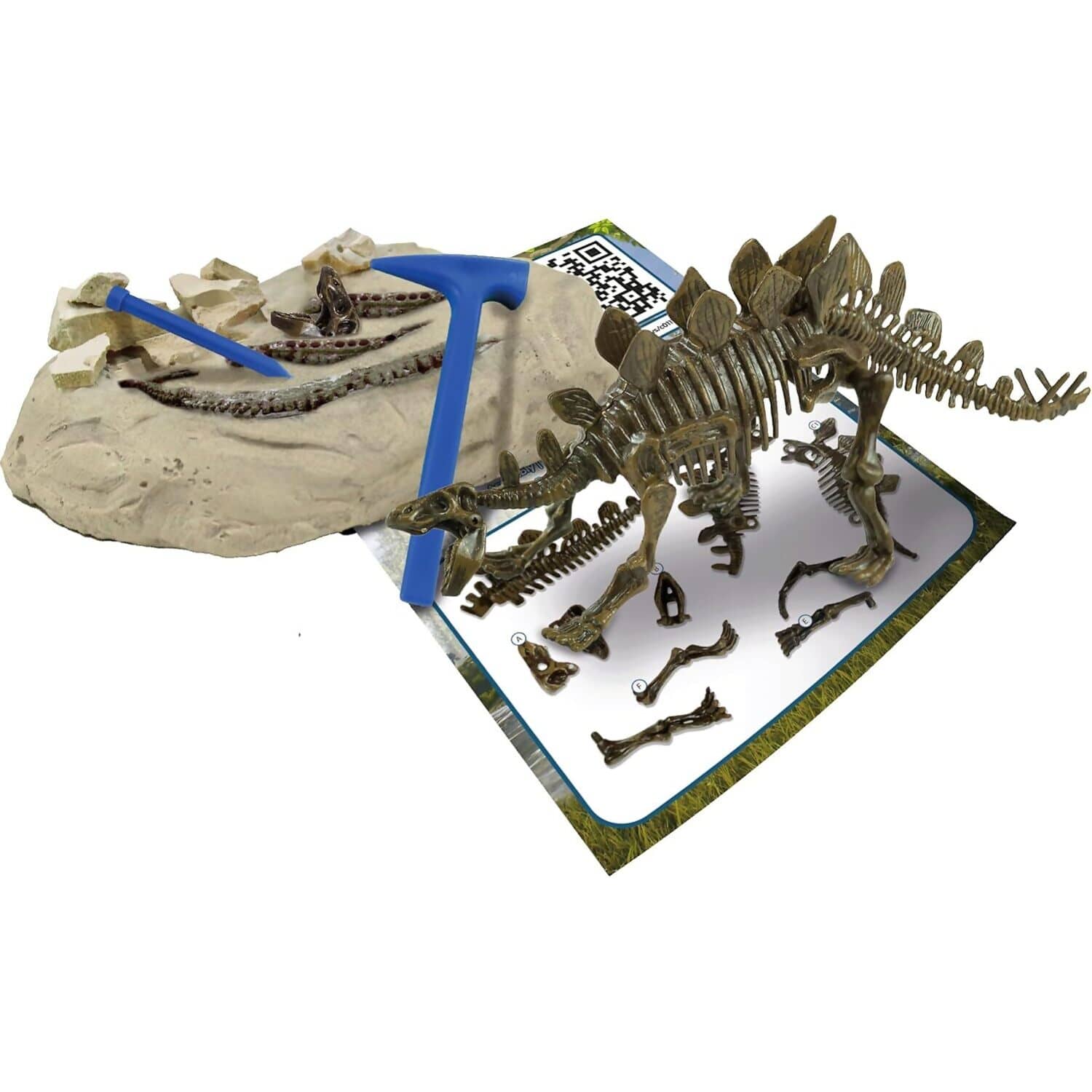 Science4You - Stegosaurus Fossil Excavation Kit - Image 2