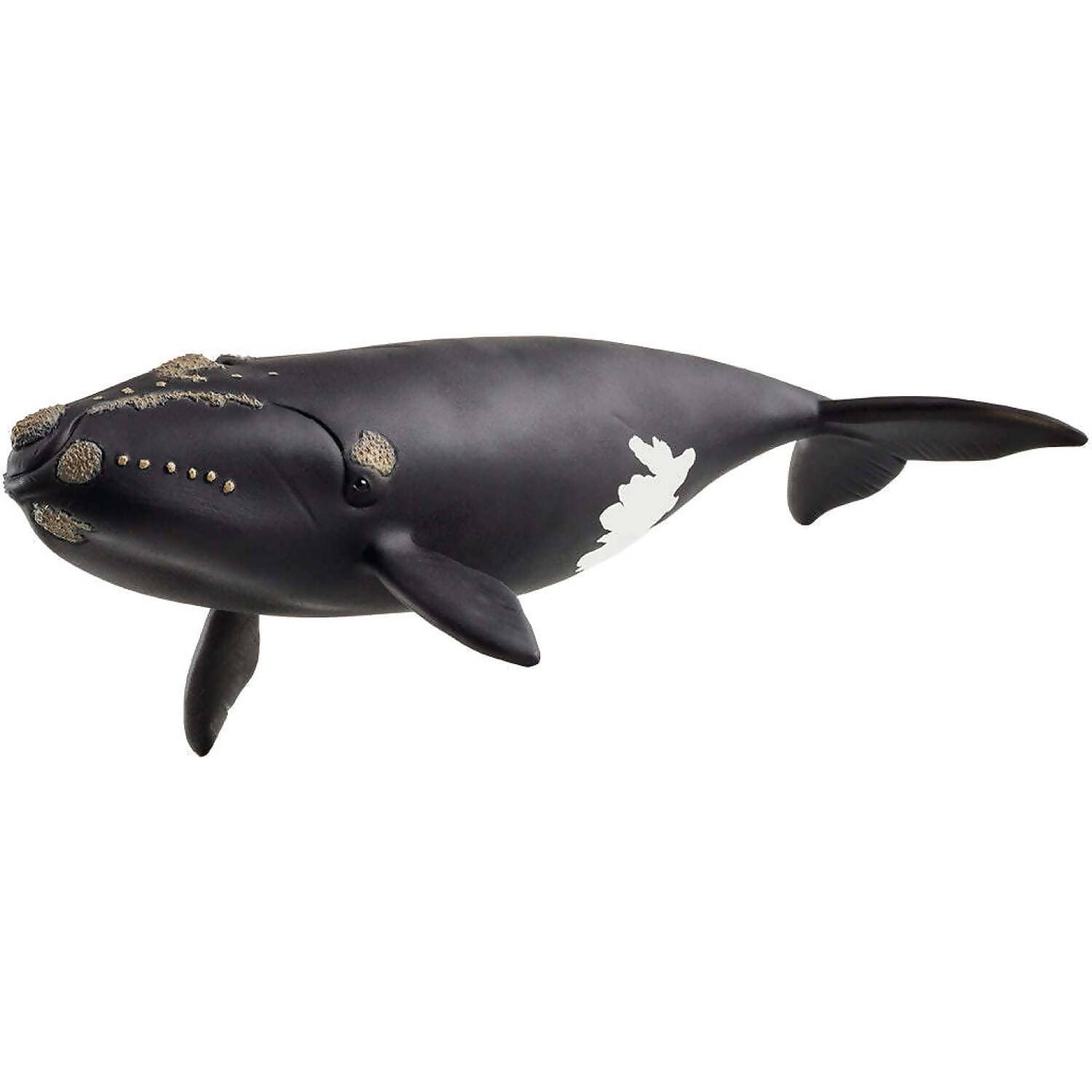 Schleich - North Atlantic Right Whale